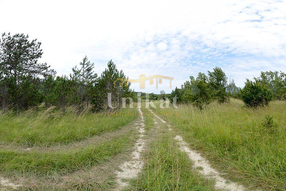 Ampio terreno ad uso ricettivo-turistico